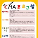 CHA태권도2 이미지