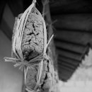 청산별곡 이미지