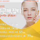 쉬즈미의원 네이버블로그