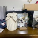 21그램 반려동물 장례식장 천안아산점 이미지