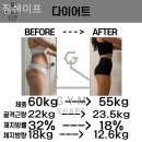 짐쉐이프 이미지