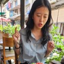 TANDIR 이미지