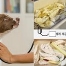 파스타 호텔 이미지