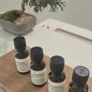 세이안 동교 이미지