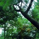 옥봉수산 이미지