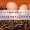 [방글스] 월급쟁이로 불안하게 살 것인가? 평생연금을 받고 살 것인가? 이미지