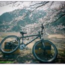 백전초등학교 | 2013년 함양 백운산 벚꽃축제에 자전거 하이킹을 가다(2013.04.13)