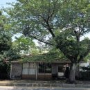 남원읍-72 네이버블로그