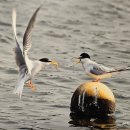 솜리문화예술회관 이미지