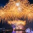 W 카카오 검색결과