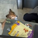 키움동물병원 이미지