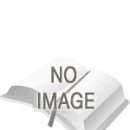 '지배적인 실재' 그리고 이중의 여과지를 거치는 재현