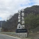 무릉도원면-22 이미지