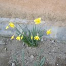 지리산학교스테이 이미지