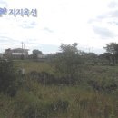 서귀포 남원읍 남원리 대지 75평 - 제주부동산 서귀포부동산 경매 이미지