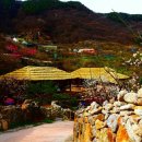 그날, 꽃피는 청춘 이미지