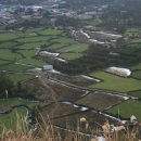 간세다리 이미지