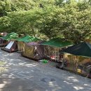 송백농장 이미지