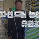 이수진세무회계