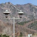 트럼프는 상당히 집요한 청교도..우린 그림자로 서포팅만 해주면 돼... 이미지
