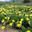 만물농장 이미지