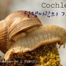 와우히어링 이미지