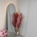 달무리 | 천안 신부동 자연스러운 속눈썹펌 달무리래쉬 후기