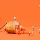 쌍문제일점 네이버블로그