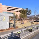 24시 와이즈 동물메디컬센터 이미지