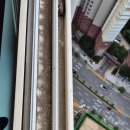 시티프라디움 | 천안불당 시티프라디움 3차 아파트 유리창 청소 후기