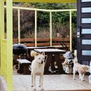 다온민박 이미지