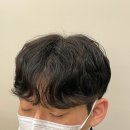 아르브헤어 arvv 이미지