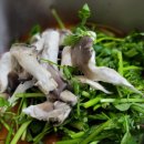 등촌칼국수성환점 이미지