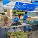 영천한우영농조합법인 이미지