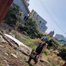 행운카센터 이미지