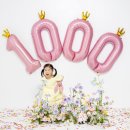 미니정원 | 1000일 사진 파노라마 콜라주, 컨페티, 꽃컨셉 미니정원컷 촬영후기 by 파비에스튜디오