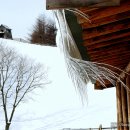 이건목장 이미지