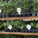 중앙농약사 이미지