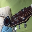 통기타 입문기 이미지