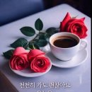 바른의료기 Daum카페