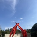 산 | 강원도 원주 가볼만한 곳 '뮤지엄산' 후기 (+제임스 터렐관 추천)