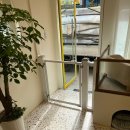 샤방하개 이미지