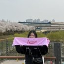 삼진오토 | 26.04 벚꽃과 함께 찾아온 홈개막전 승요(+원필 솔콘 티켓팅)