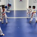 천하무적태권도 이미지