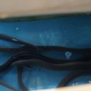 물금2길 이미지