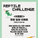 라라렙타일