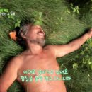 자연인 Daum카페