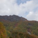 천상골가든 | 울산 등산 코스 추천! 초보 등산 추천! 영남알프스, 간월재 등반 후기