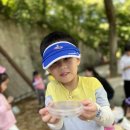 사직공원 유아숲 네이버블로그