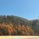 지에스25 역북트윈점 | 정선 파크로쉬 리조트앤웰니스 | 숙암 트윈룸 내돈내산 후기 웰니스프로그램 신청 방법